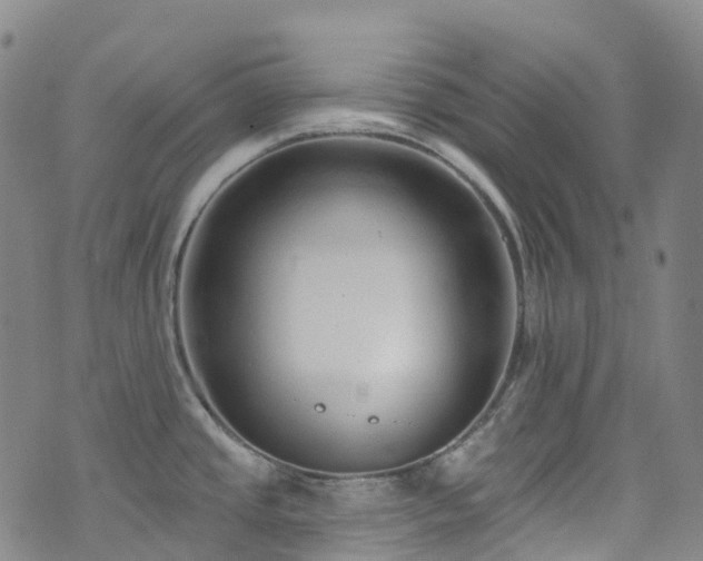 X0000074941437200609011104