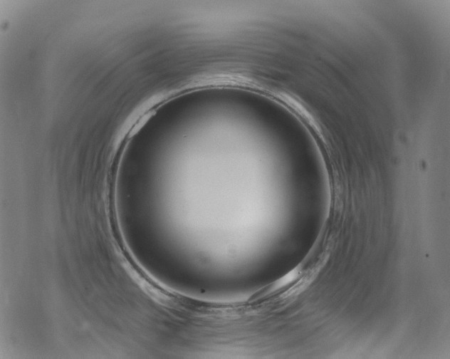 X0000074941438200609011104