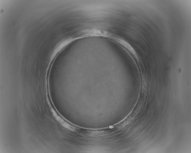 X0000074941439200609011104