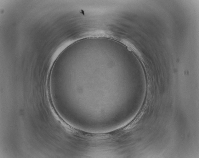 X0000074941440200609011104