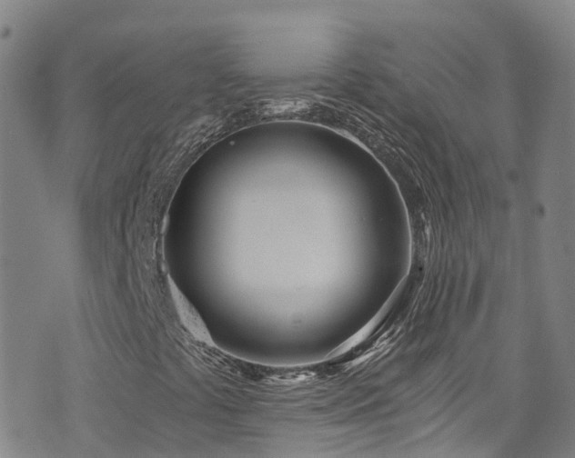 X0000074941441200609011104