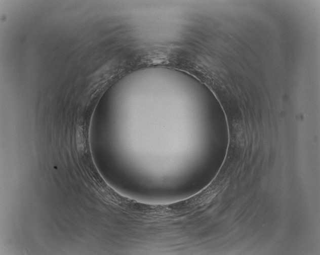 X0000074941442200609011104