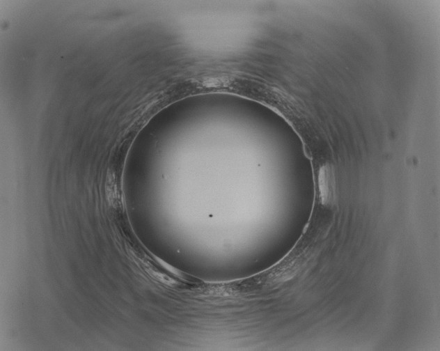 X0000074941443200609011104