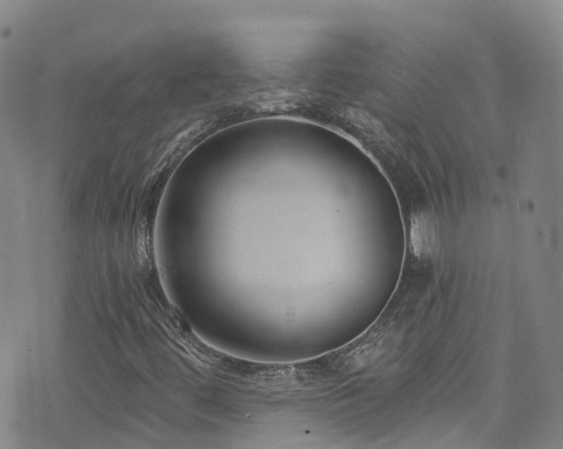 X0000074941444200609011104