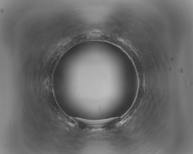 X0000074941445200609011104