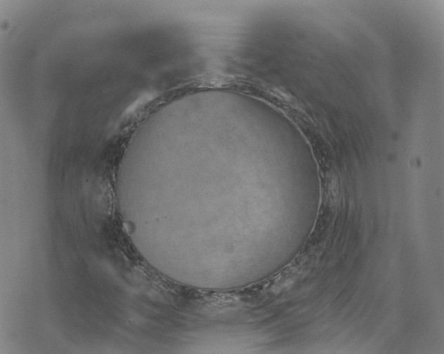 X0000074941446200609011104