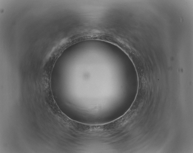 X0000074941447200609011104