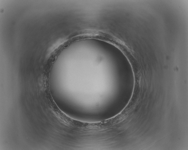 X0000074941448200609011104