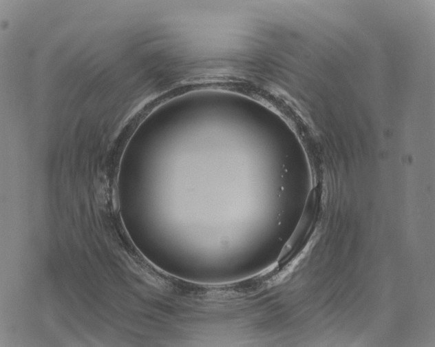 X0000074941449200609011104