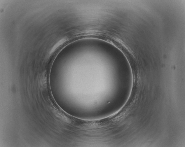 X0000074941450200609011104