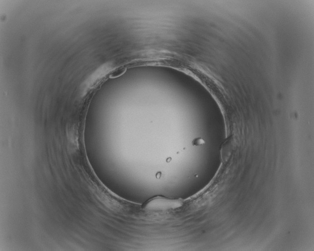 X0000074941451200609011103