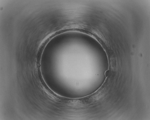 X0000074941452200609011103