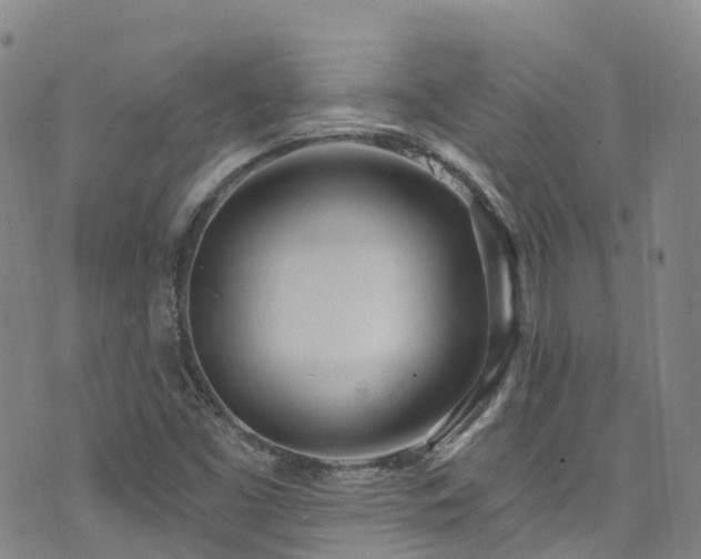 X0000074941453200609011103