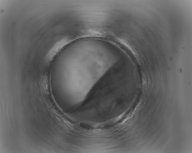 X0000074941455200609011103