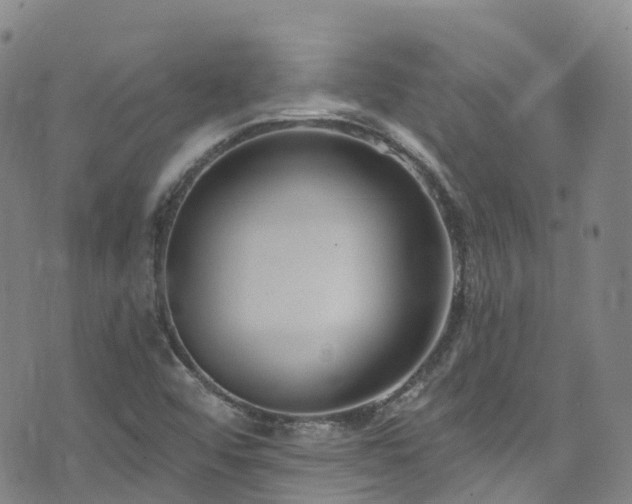 X0000074941456200609011103