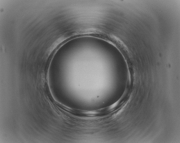 X0000074941457200609011103