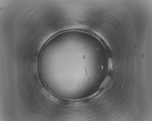 X0000074941460200609011103