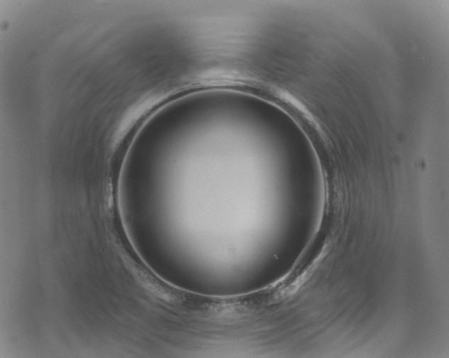 X0000074941461200609011103