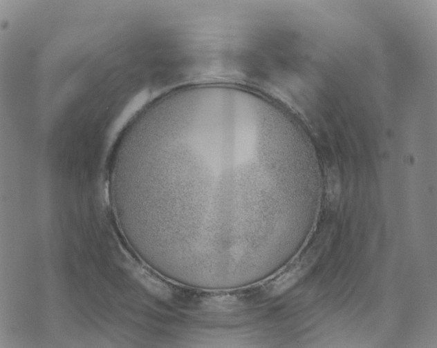 X0000074941462200609011103