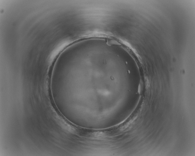 X0000074941463200609011103