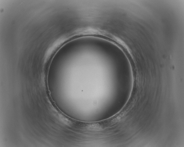 X0000074941464200609011103