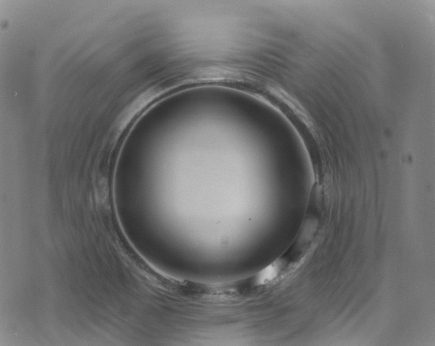 X0000074941465200609011103