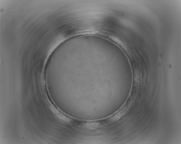 X0000074941466200609011103