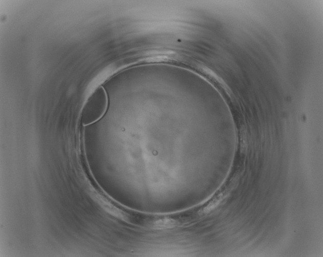 X0000074941467200609011103