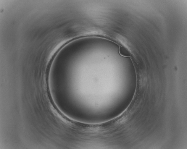 X0000074941468200609011103