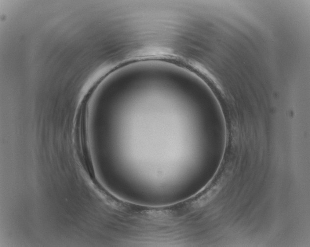 X0000074941469200609011103