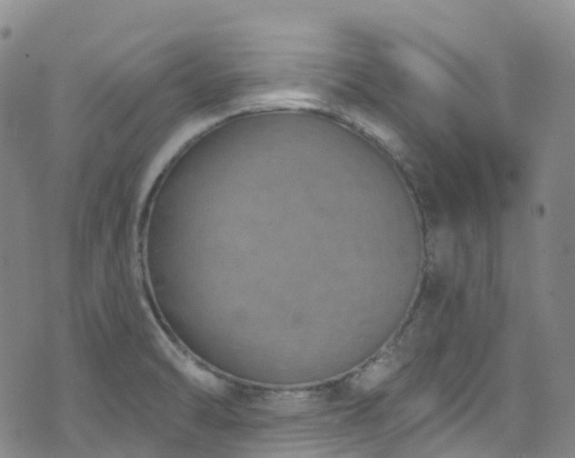 X0000074941470200609011103