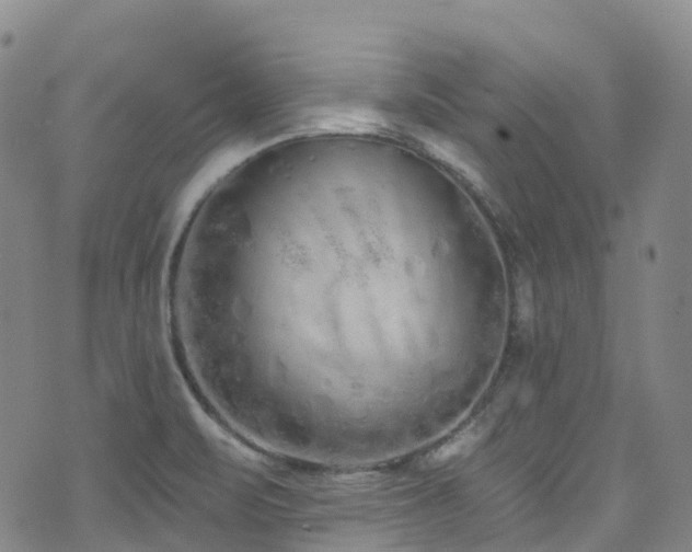 X0000074941471200609011103