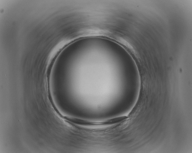 X0000074941472200609011103