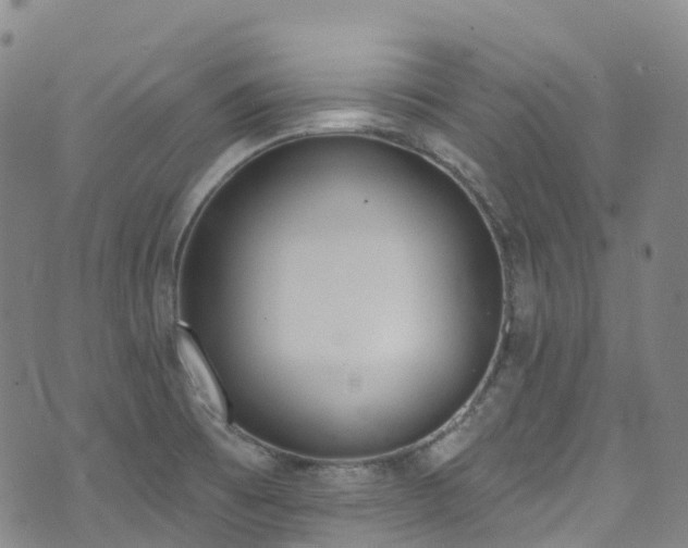 X0000074941473200609011103