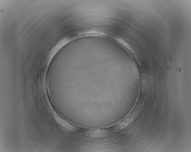 X0000074941474200609011103