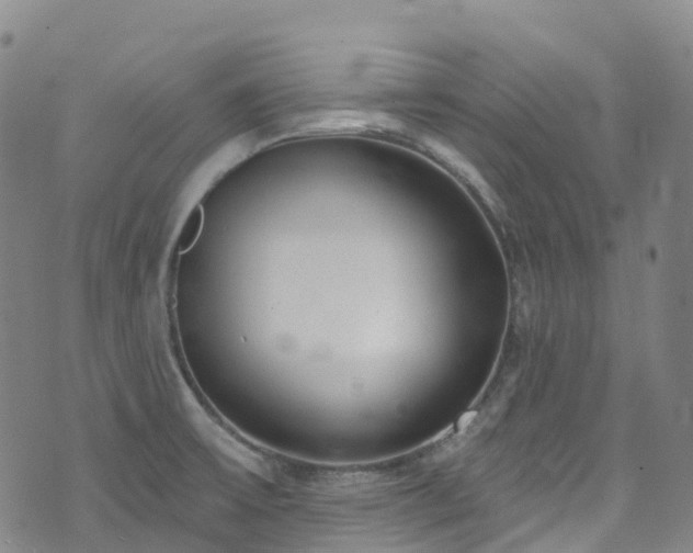 X0000074941475200609011103