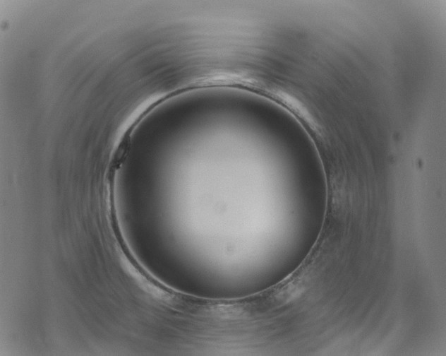 X0000074941476200609011103