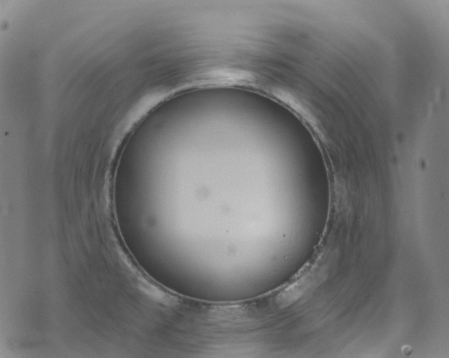 X0000074941477200609011103