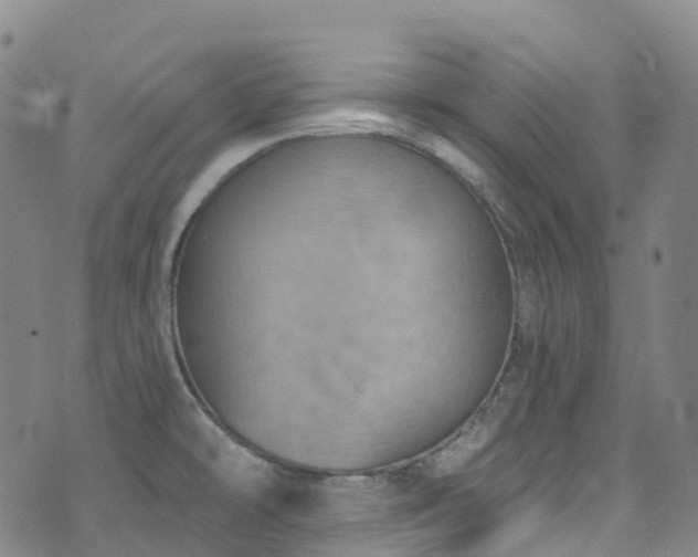 X0000074941478200609011103