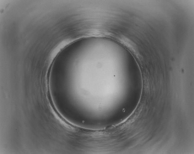 X0000074941479200609011103