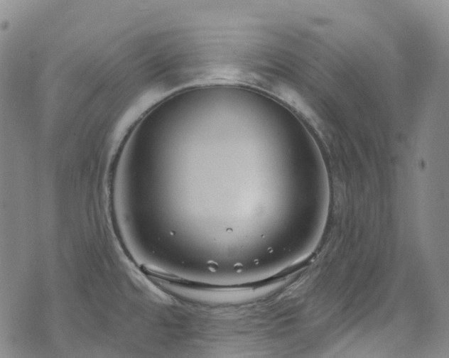 X0000074941480200609011103