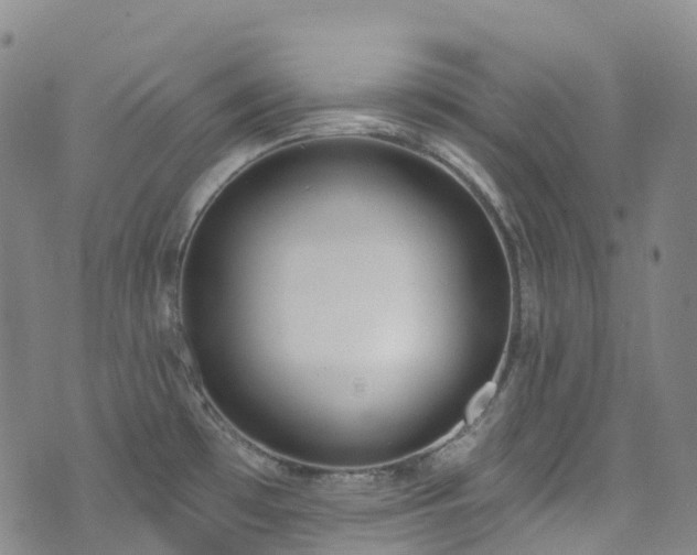 X0000074941481200609011103