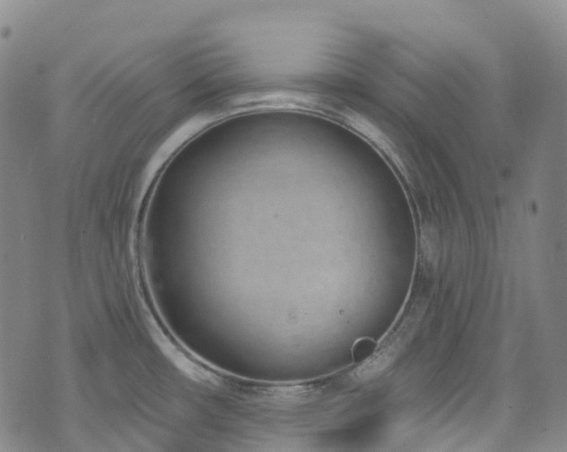 X0000074941482200609011103