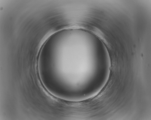 X0000074941484200609011103