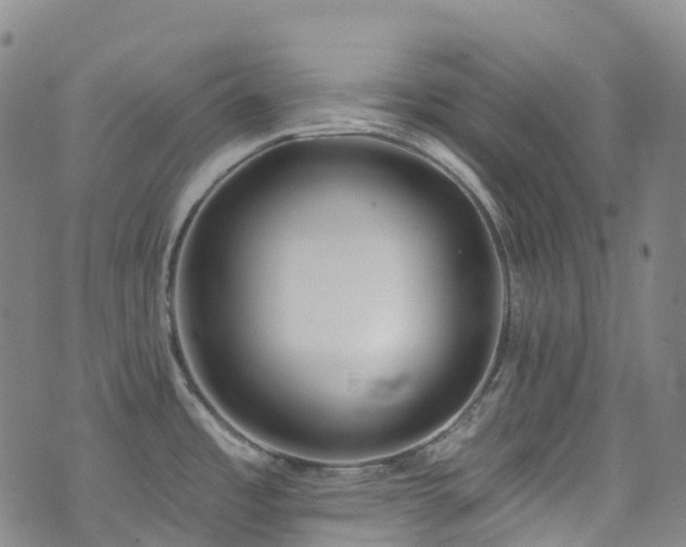 X0000074941485200609011103