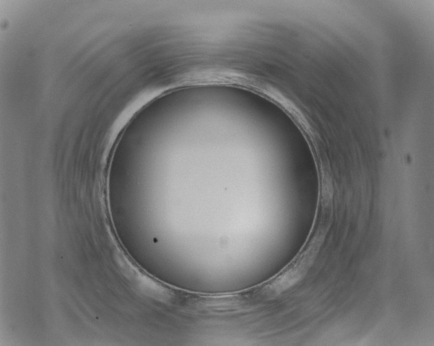 X0000074941486200609011103