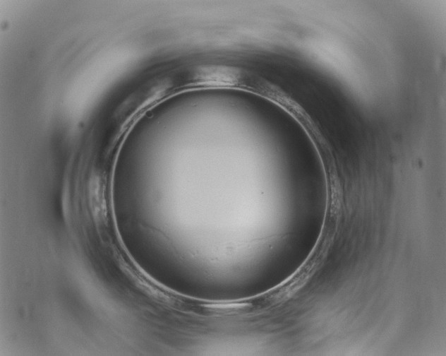 X0000074941487200609011103