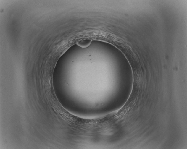 X0000074941489200609011102