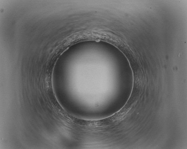 X0000074941490200609011102