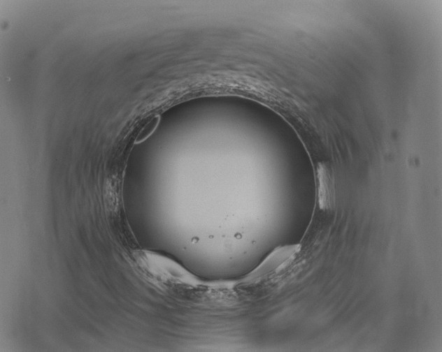 X0000074941491200609011102